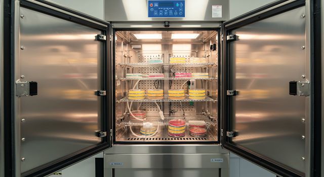 CO2 Sensoren in einem Inkubator