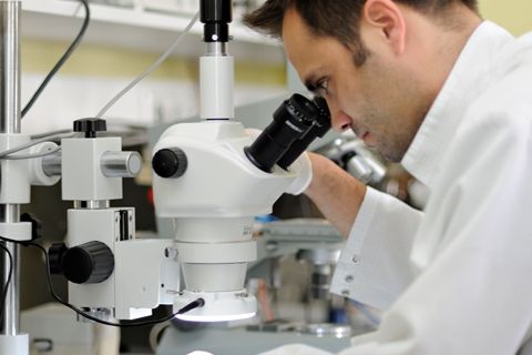 Employee Patrick Sachse at the microscope