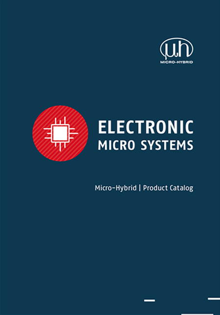 Frontansicht des Katalogs "Electric Micro Systems"